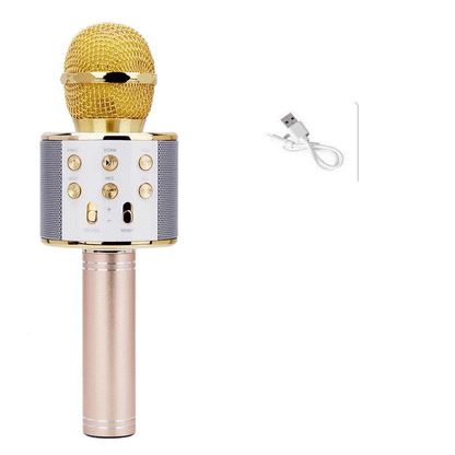 Bluetooth Karaoke Microphone